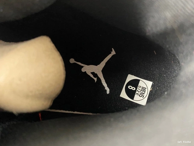 Alternate Air 12 Jordan 130690-600 0712